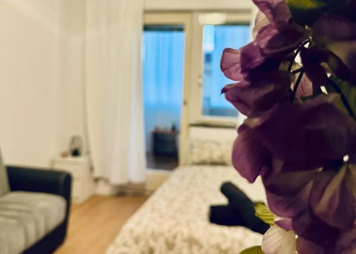 Cozy In A For Groups, 16-mins To Blumengaerten Apartman *
