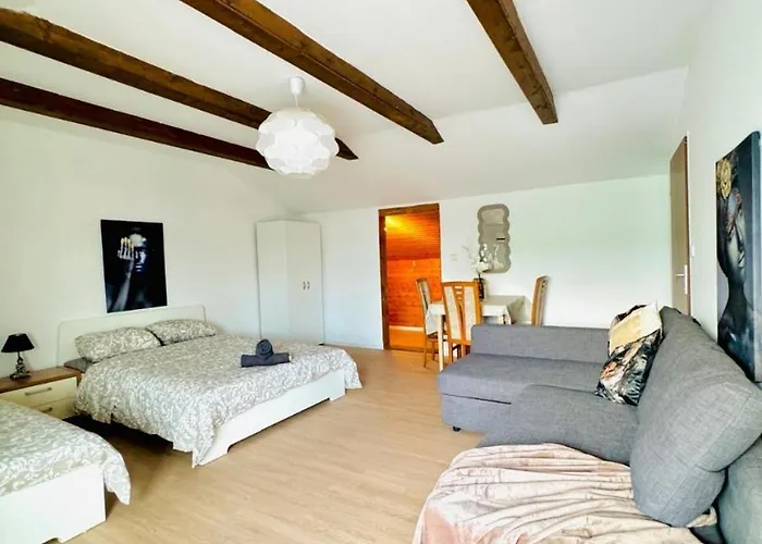 Cozy In A For Groups, 16-mins To Blumengaerten Apartman