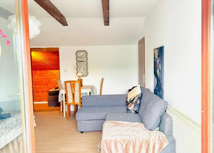 Apartman Cozy In A For Groups, 16-mins To Blumengaerten